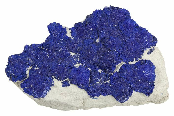 Vibrant Blue Azurite Suns on Siltstone - Australia #254048